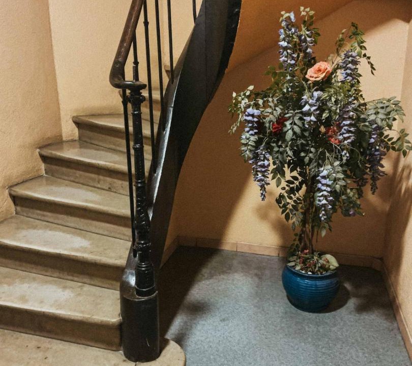 Photo of Others in Saint-Mathieu