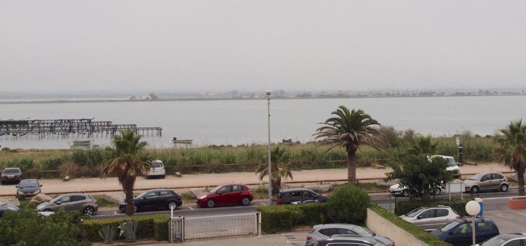 Photo of Others in Palavas-les-Flots