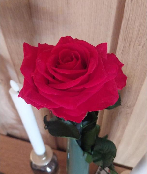 Photo of Others in Saint-Maigrin