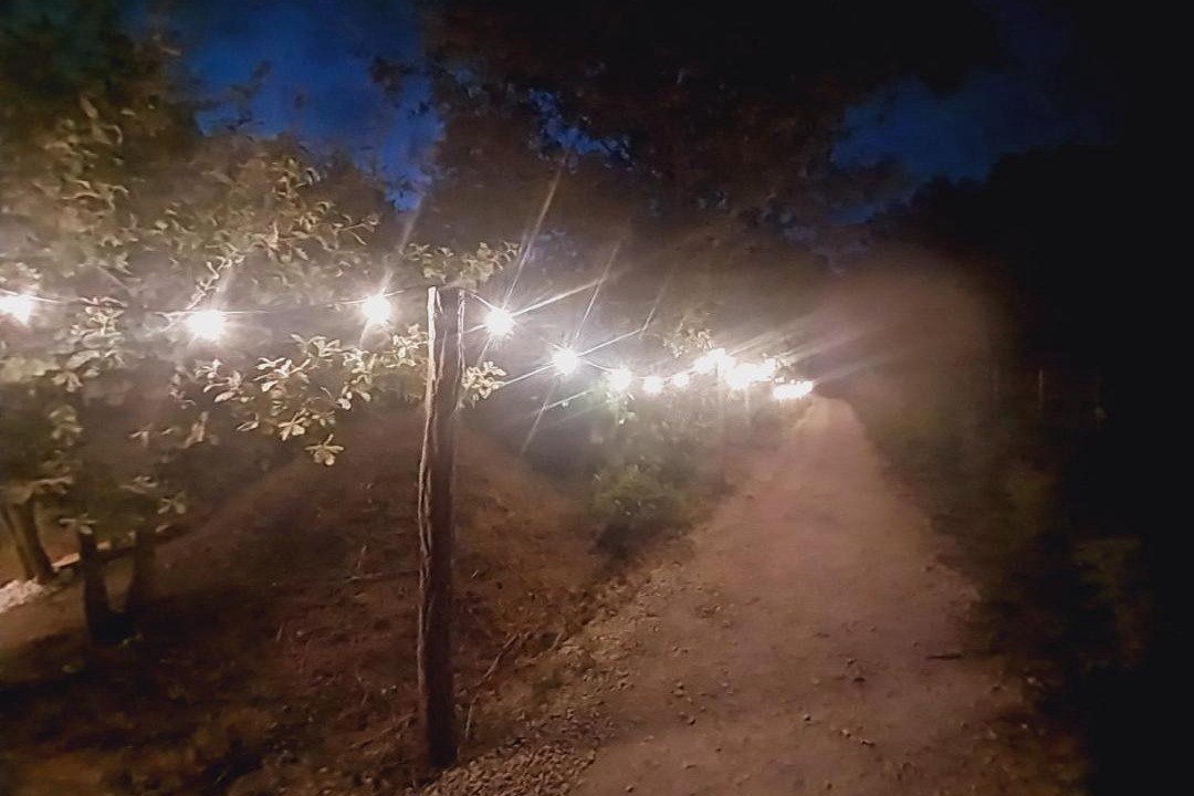 Photo of Others in Saint-Maigrin