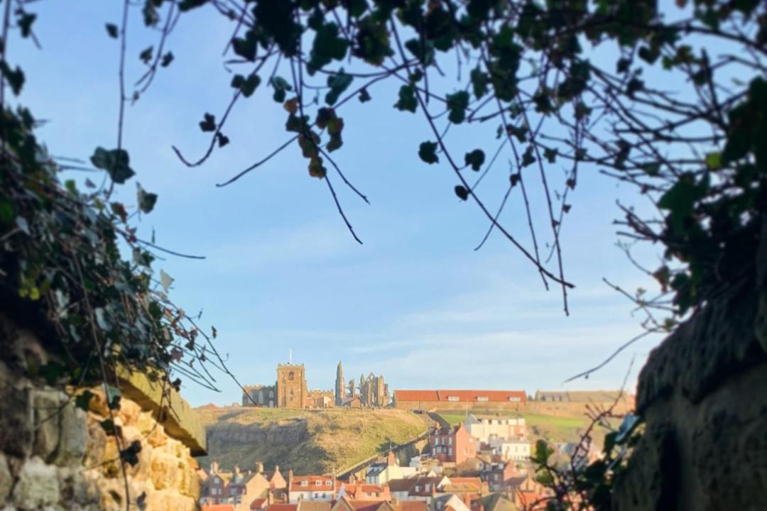 Photo of Others in West Cliff