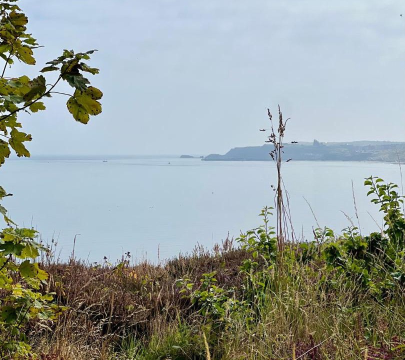 Photo of Others in West Cliff