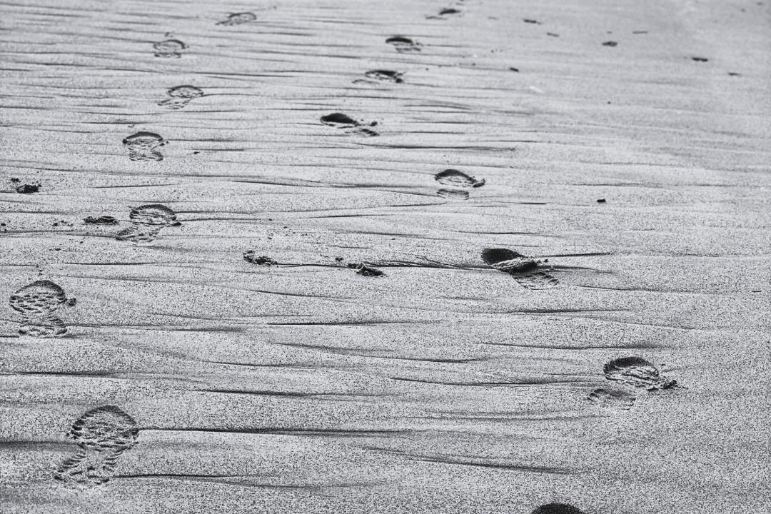 Photo of Others in West Cliff