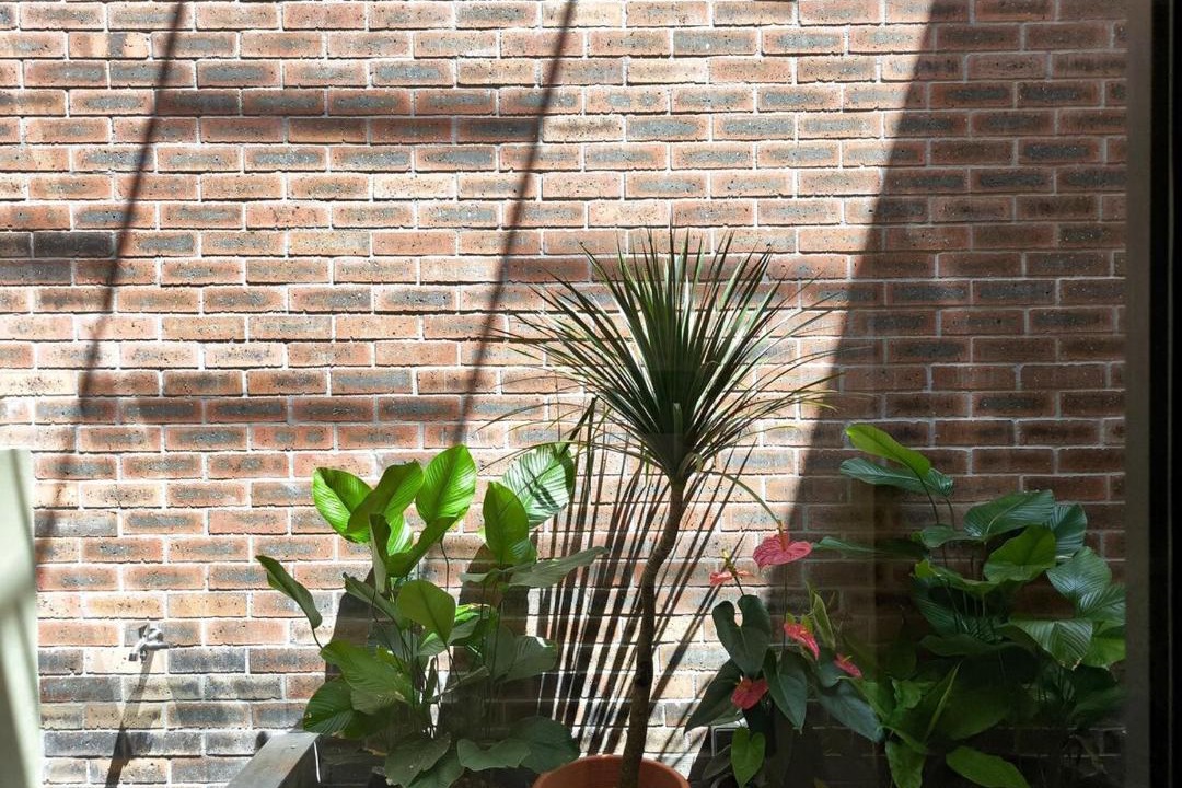 Photo of Patio Balcony in Taman Teh Teng Seng