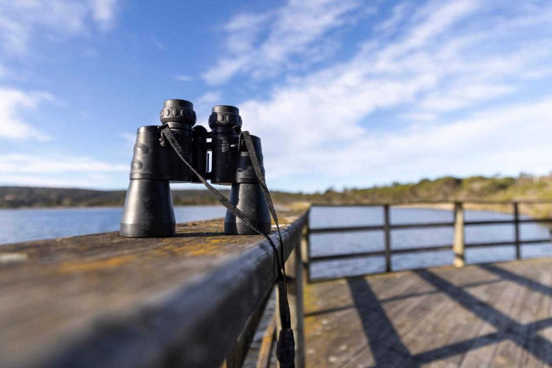 Photo of Others in Eden