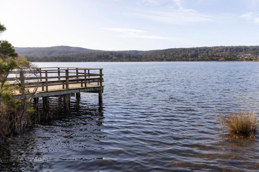 Photo of Others in Eden