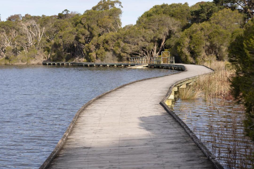 Photo of Others in Eden