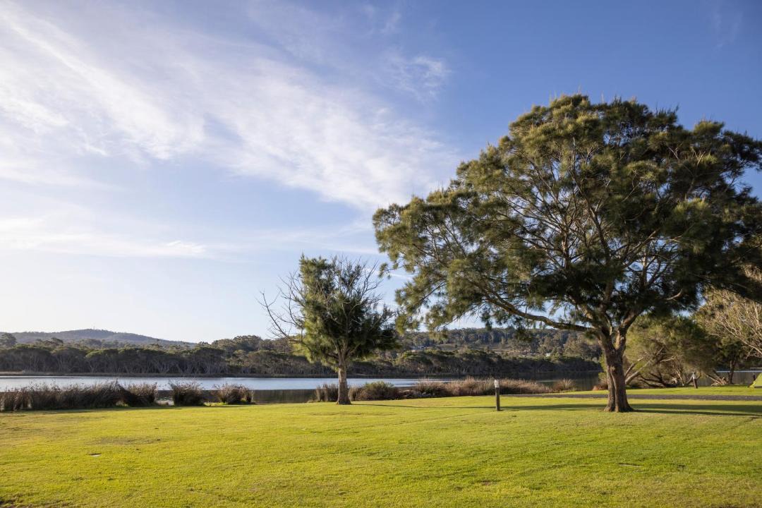 Photo of Others in Eden