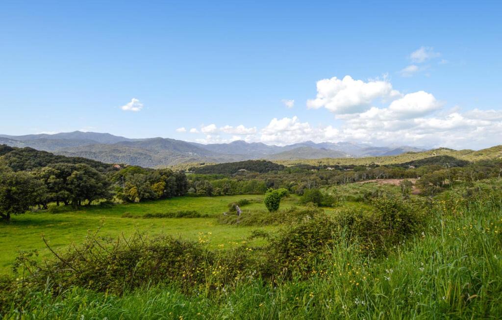 Photo of Others in Petreto-Bicchisano