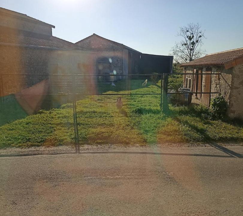 Photo of Others in Gourge