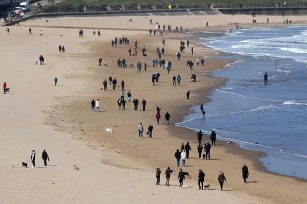 Photo of Human In Picture in Seaton Sluice