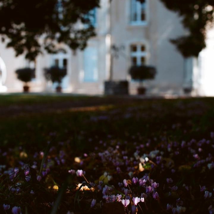 Photo of Others in Villeneuve-en-Retz