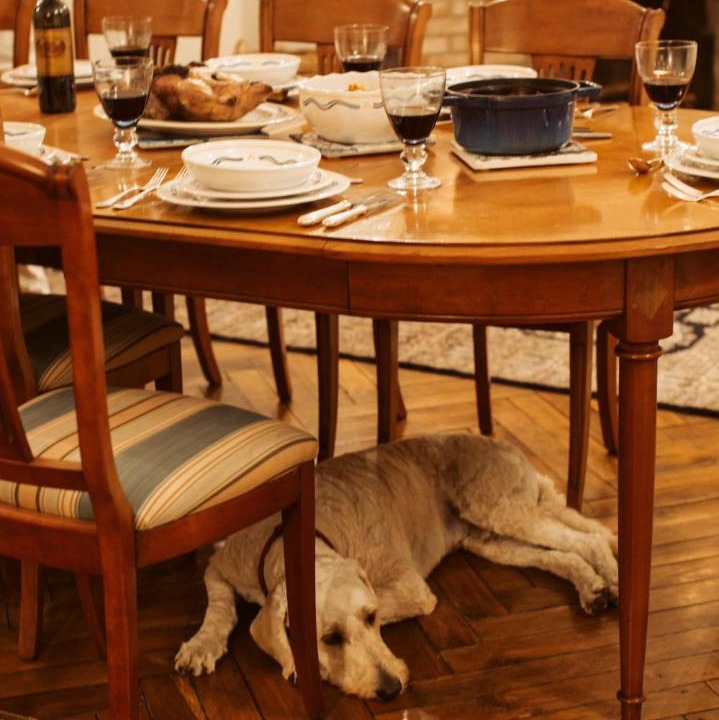 Photo of Others in Villeneuve-en-Retz