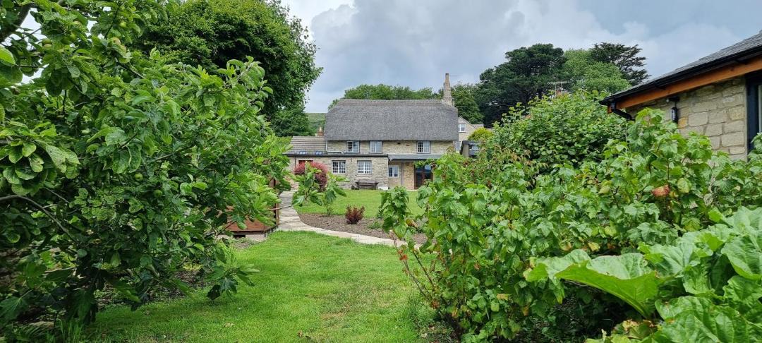 Photo of Others in Church Knowle