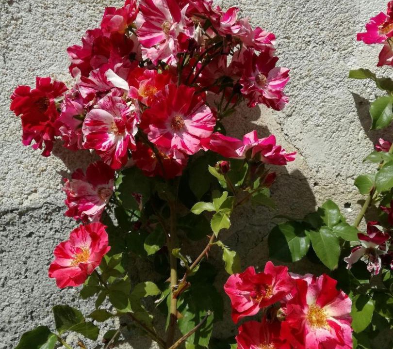 Photo of Others in Oradour-sur-Glane