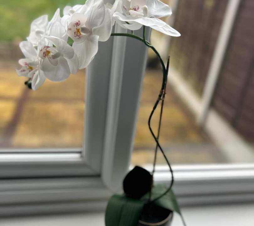 Photo of Others in Cannock