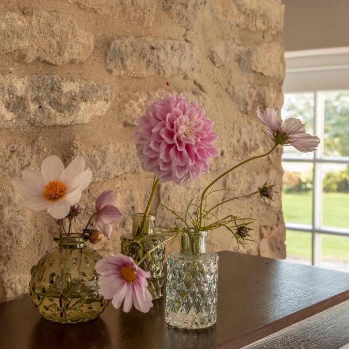 Photo of Others in Brokenborough