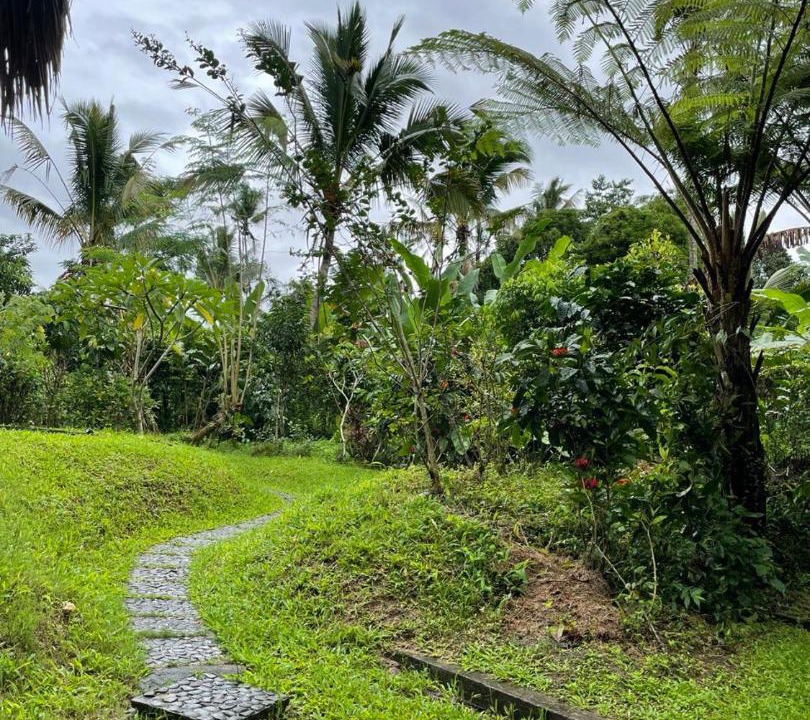 Photo of Others in Penebel