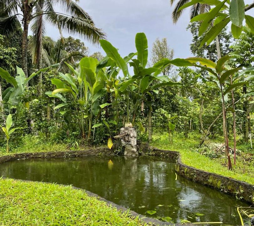 Photo of Others in Penebel