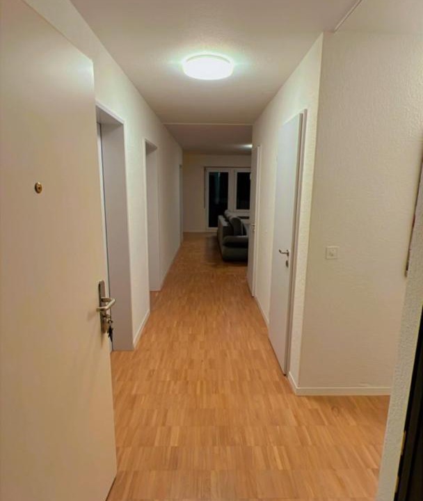 Photo of Others in Bremgarten
