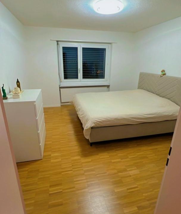 Photo of Others in Bremgarten