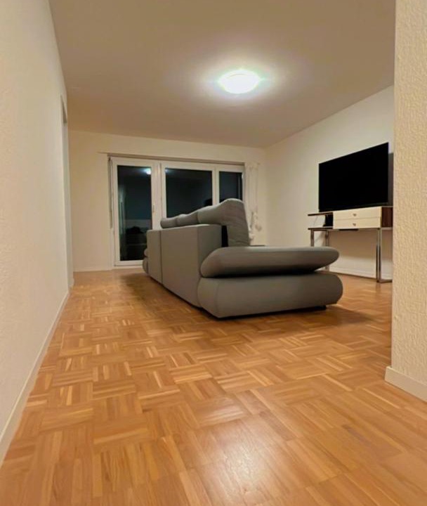 Photo of Livingroom in Bremgarten