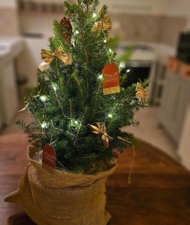 Photo of Others in Sainpuits