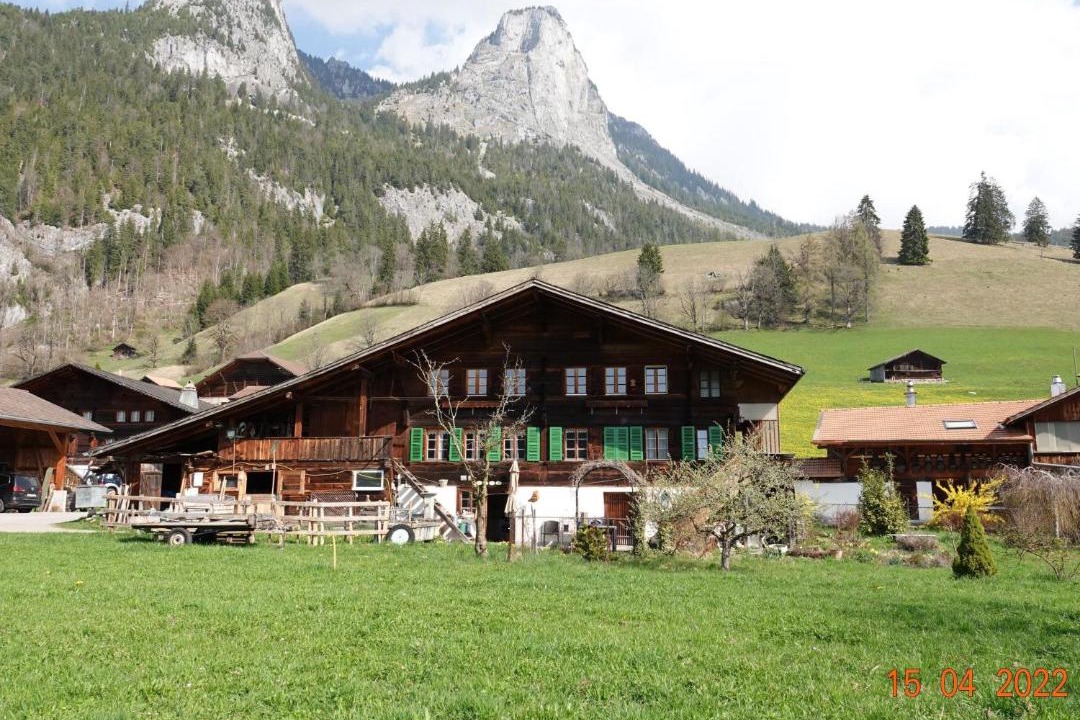 Photo of Others in Boltigen