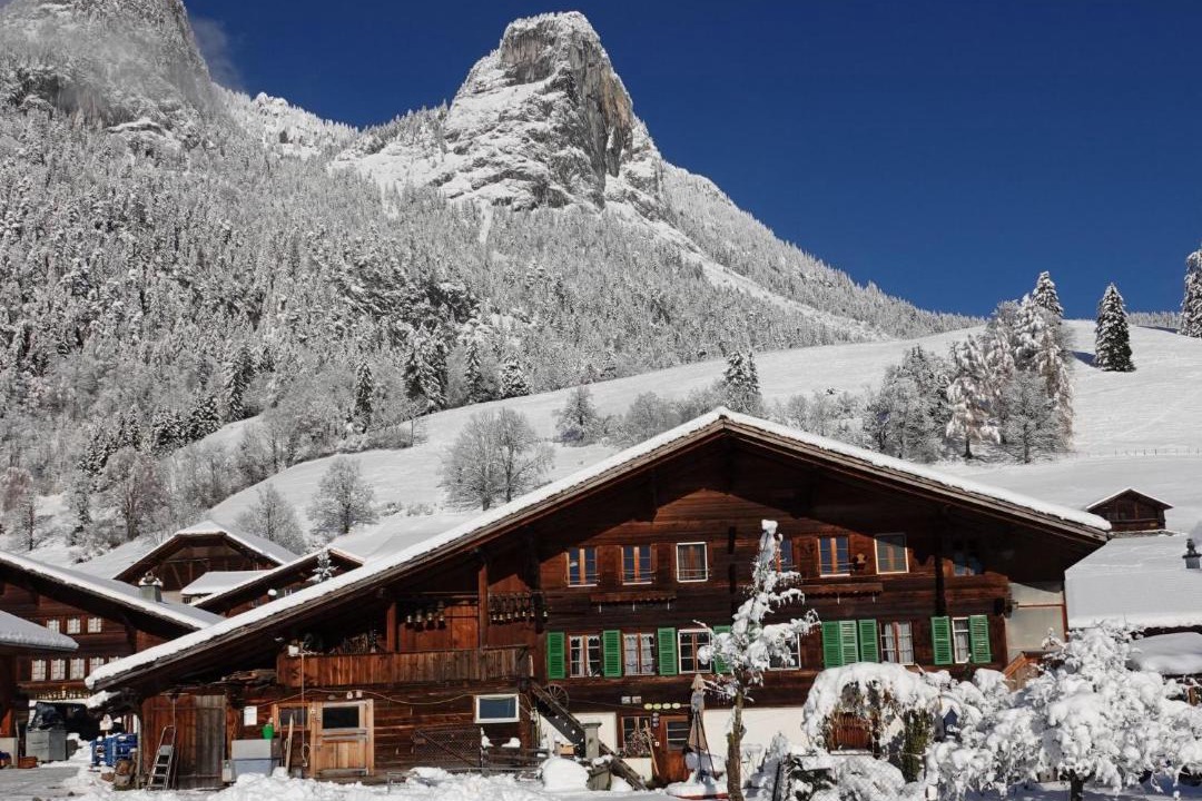 Photo of Others in Boltigen