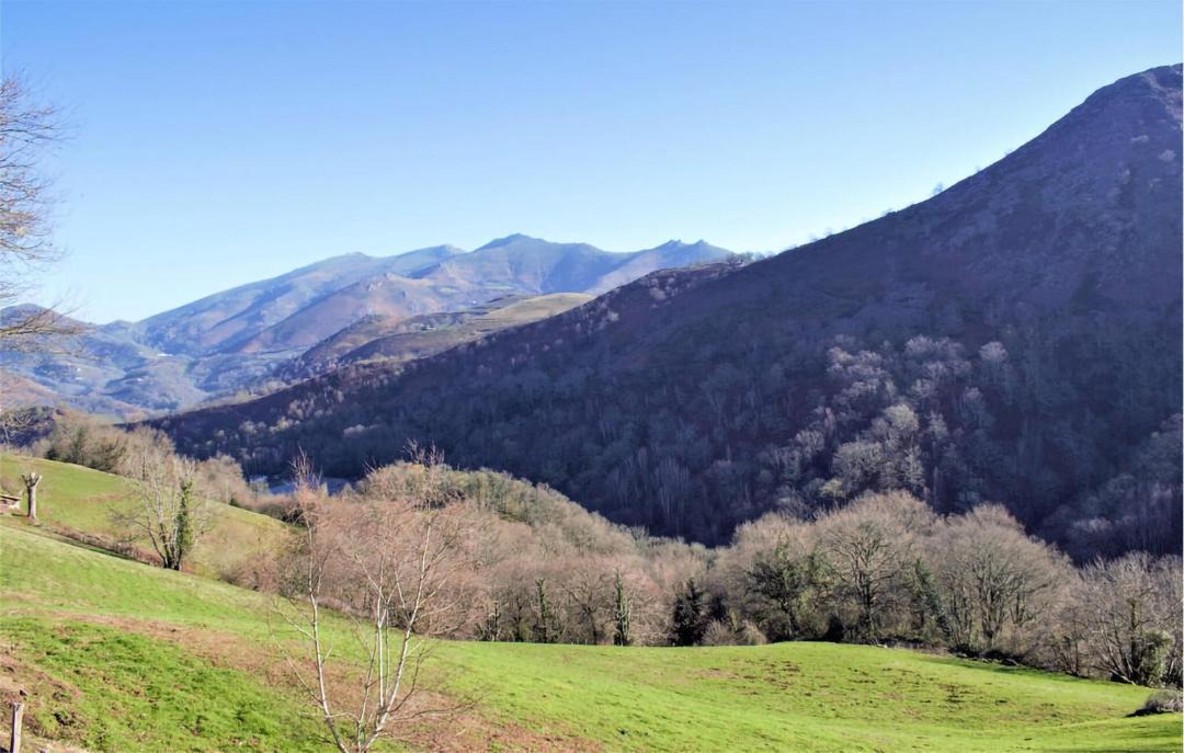 Photo of Others in Aste