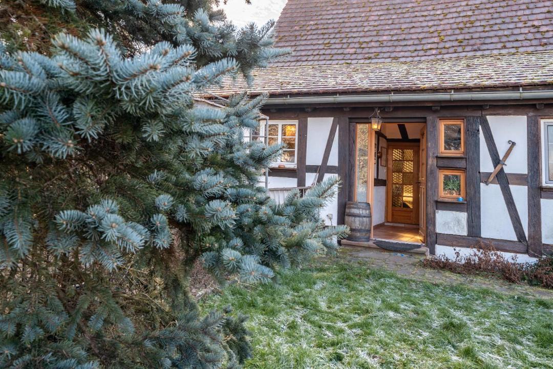 Photo of Others in Betschdorf