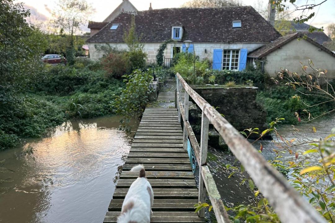 Photo of Others in Bleves