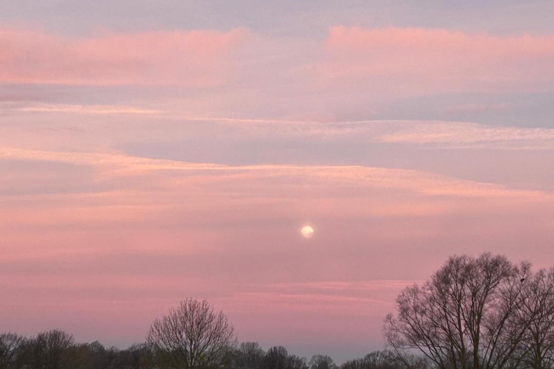 Photo of Others in Floyon