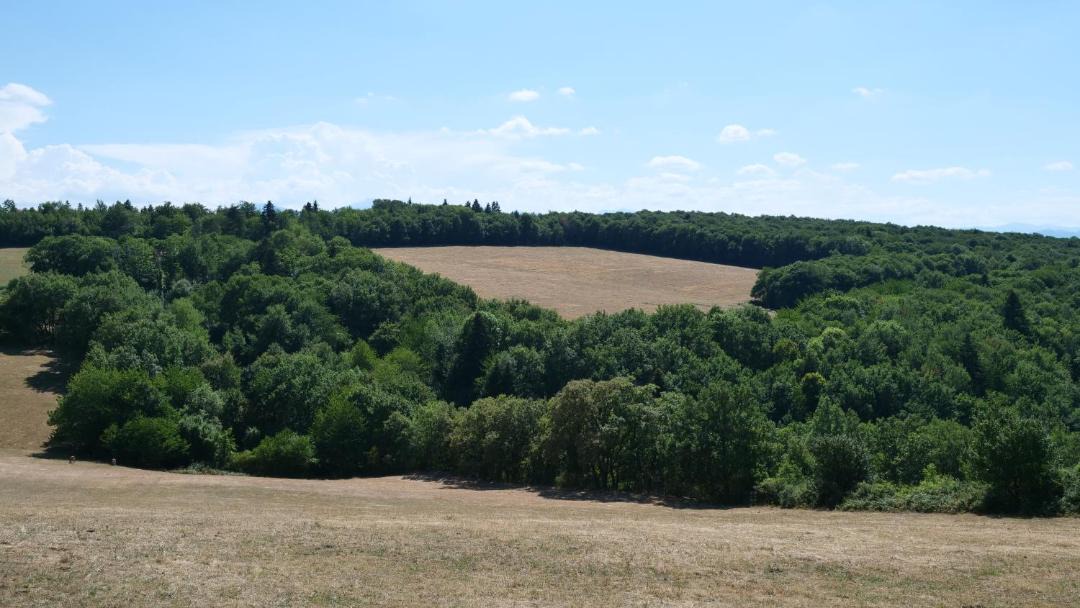 Photo of Others in Montbel