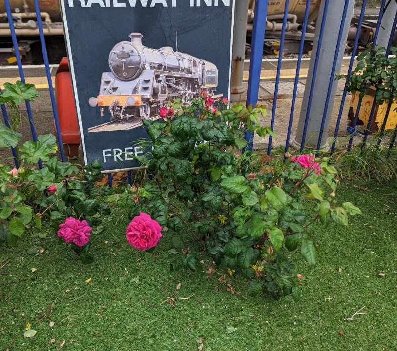 Photo of Others in North Moreton