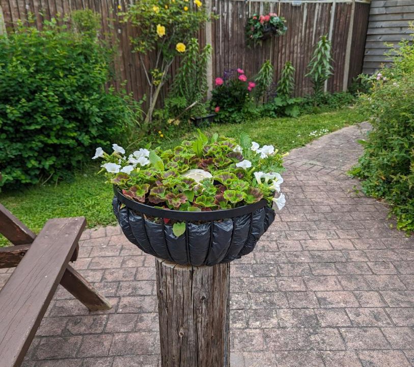 Photo of Others in North Moreton