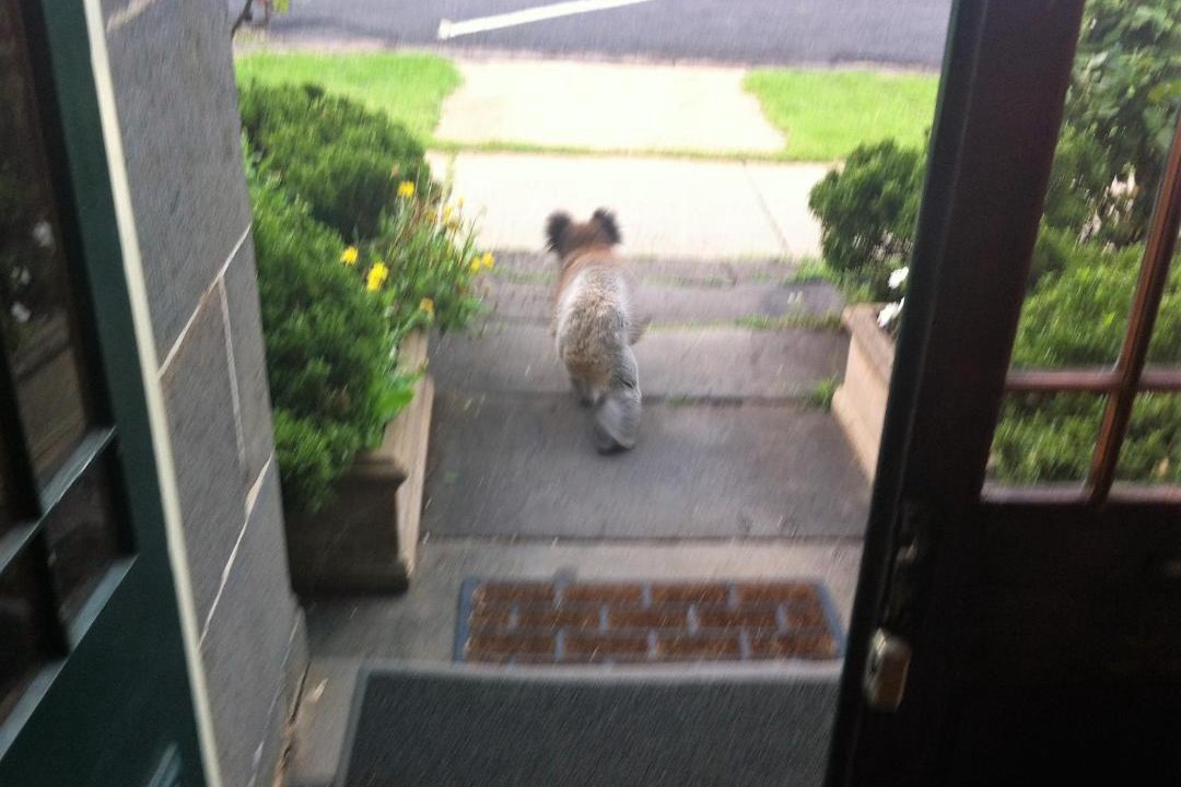 Photo of Others in Portland