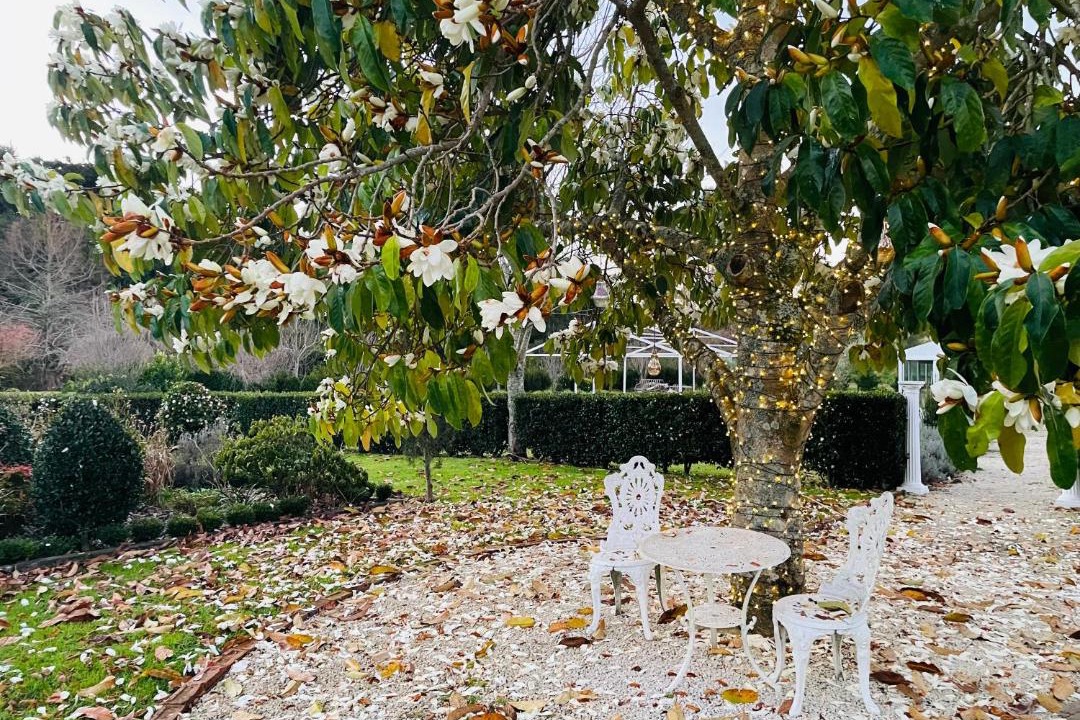 Photo of Others in Katikati