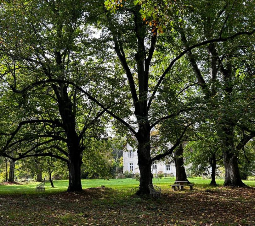 Photo of Others in La Roche-Rigault