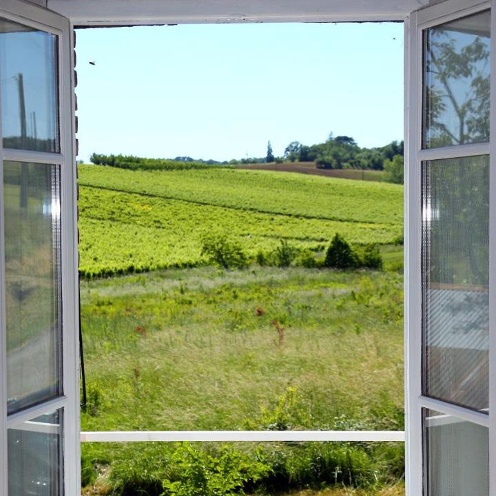 Photo of Others in Gaillac