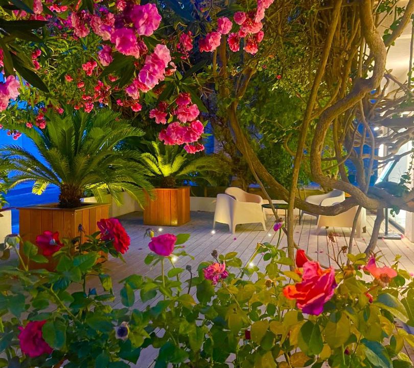 Photo of Others in Porto-Vecchio