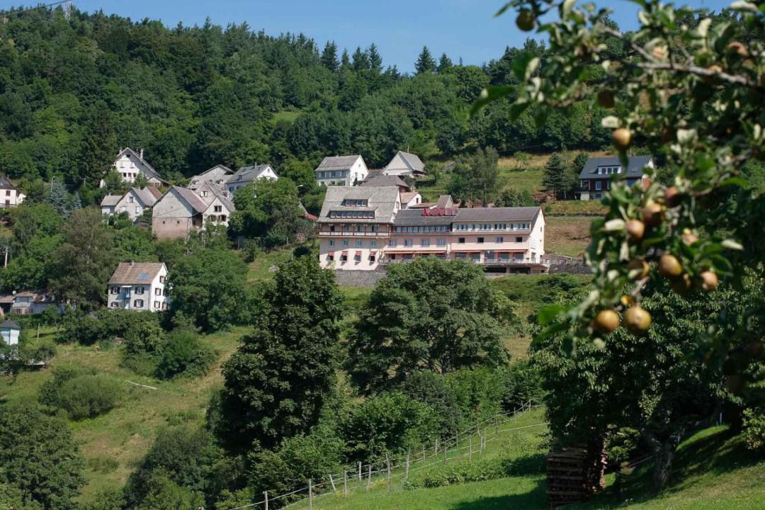 Photo of Others in Hohrodberg