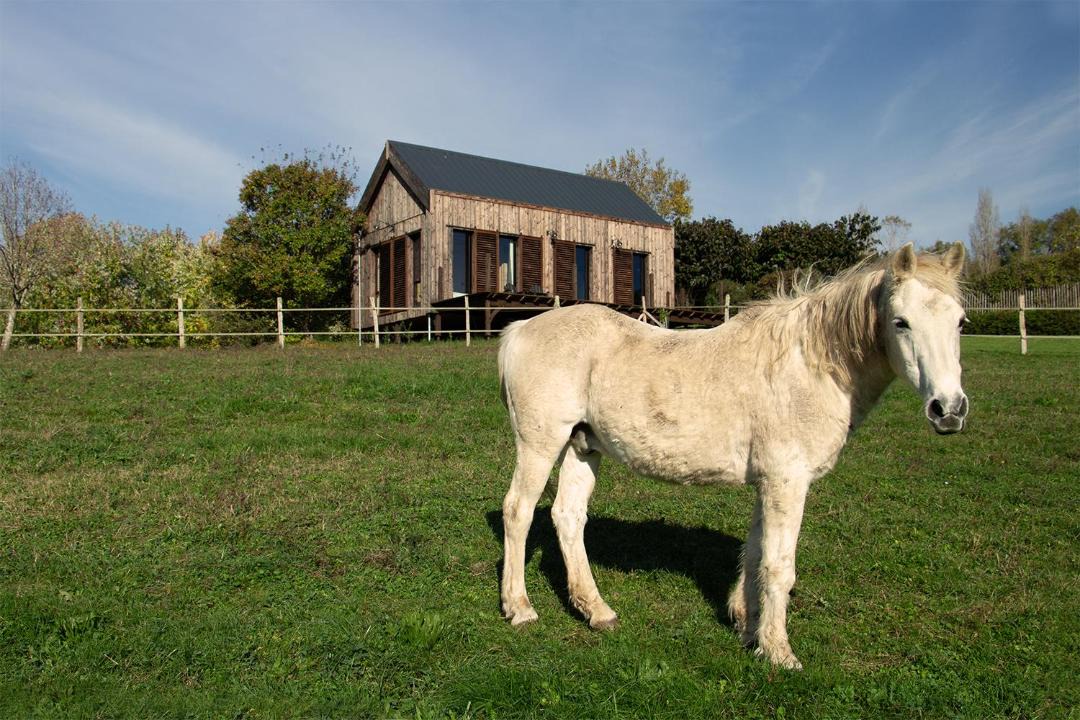 Photo of Others in Aillas