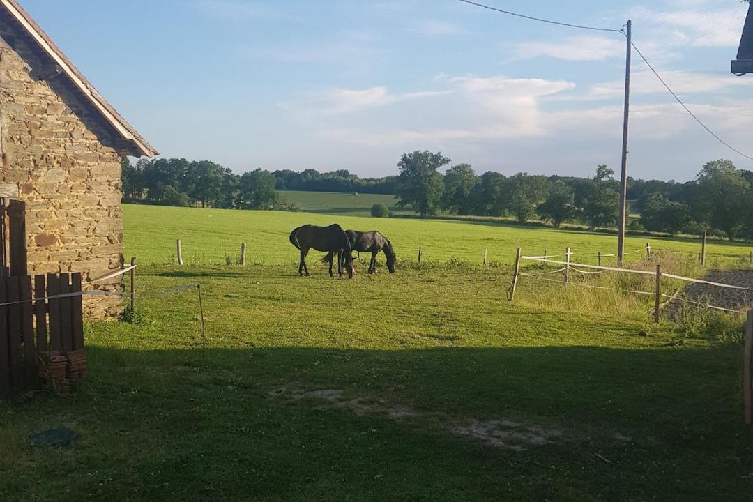Photo of Others in Saint-Pardoux-Corbier