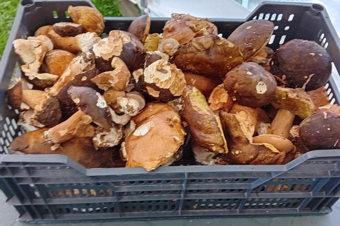 Photo of Outdoor in Galan