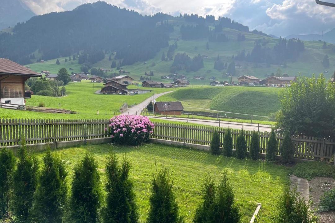 Photo of Others in Adelboden