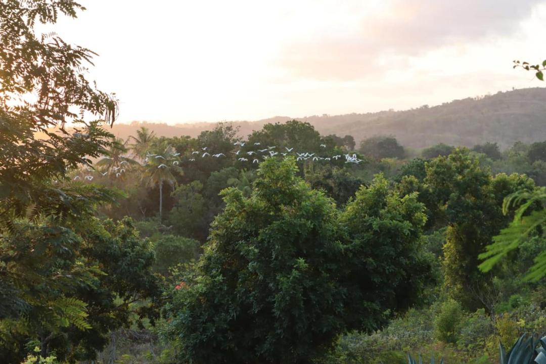 Photo of Others in Nihiwatu