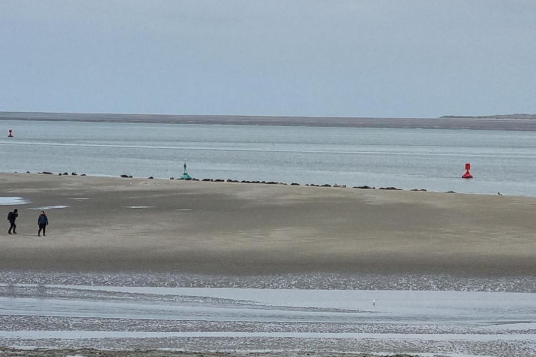 Photo of Others in Cayeux-sur-Mer