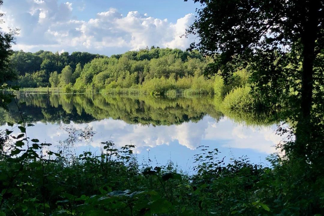 Photo of Others in Them