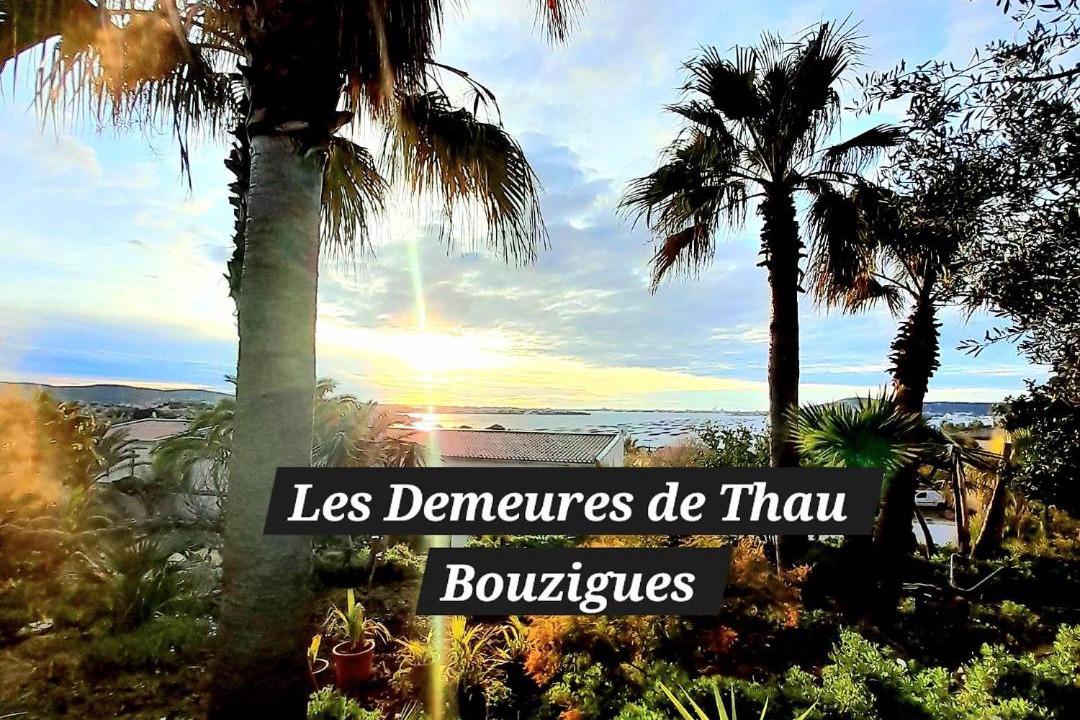 Photo of Others in Bouzigues